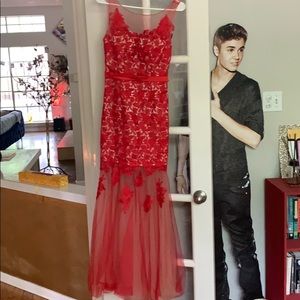 Stunning red lace evening gown.